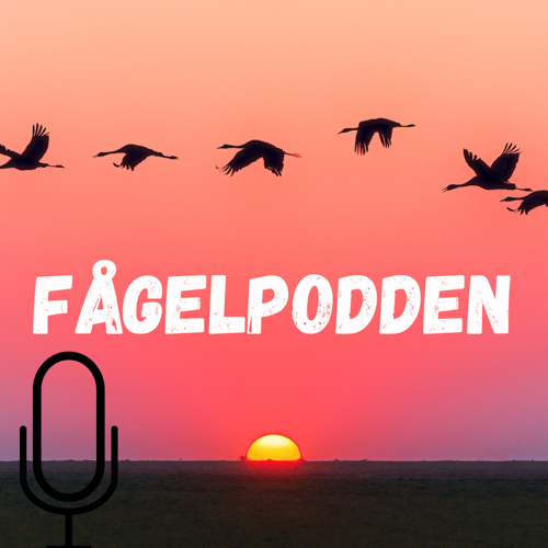 The fagelpodden?s Podcast